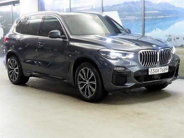 BMW X5 (X5 (G05. 18.11~현재)) 30d xDrive