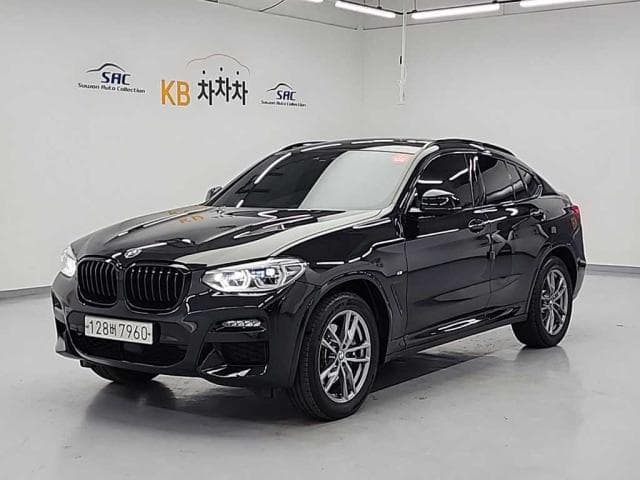 BMW X4 (X4 (G02. 18.11~현재)) 20d xDrive