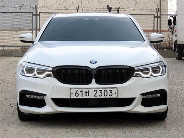 BMW 5시리즈 (5시리즈 (G30. 17년~23년)) 520d xDrive